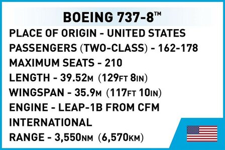 Cobi Boeing 737-8