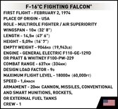 Cobi F-16C Fighting Falcon